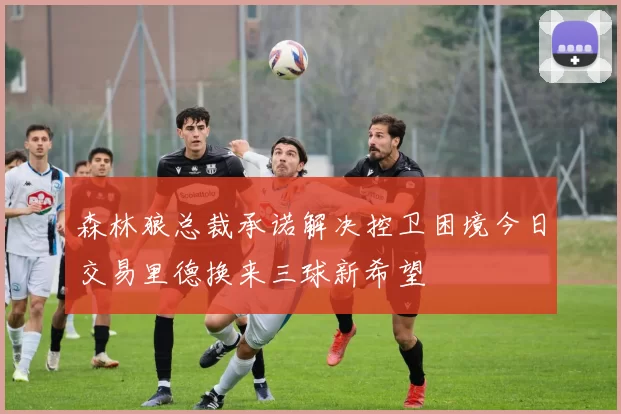 森林狼总裁承诺解决控卫困境今日交易里德换来三球新希望
